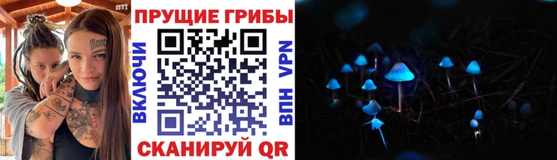 KRAKEN вход  где купить наркоту  Урус-Мартан  Галлюциногенные грибы GOLDEN TEACHER 